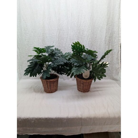 Threshold Other - Threshold Faux philodendron in basket faux house plants set of 2 18" tall 7" pot